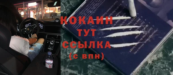 хмурый Алексин