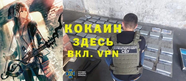 хмурый Алексин