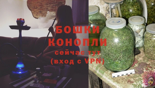 крисы Елабуга