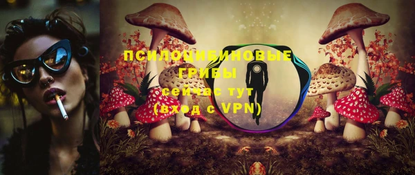 хмурый Алексин