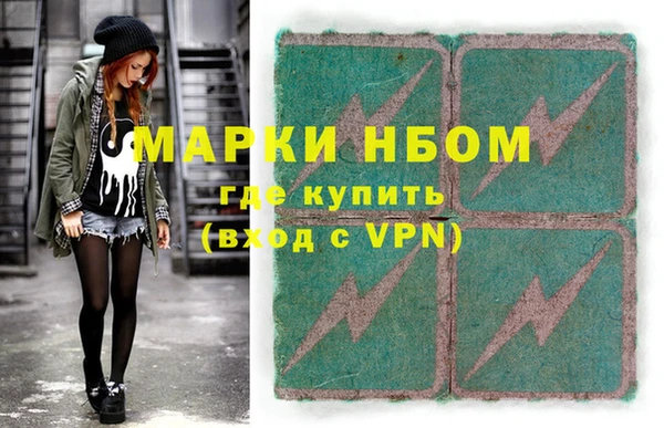 хмурый Алексин