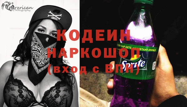 хмурый Алексин