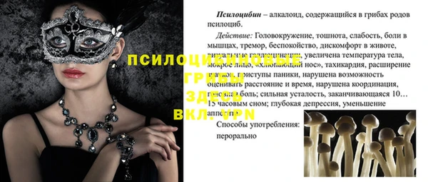 хмурый Алексин