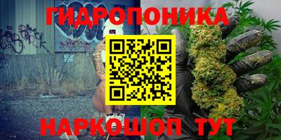 индика Краснодар