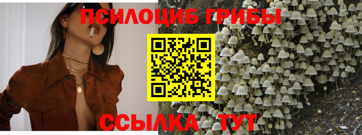 Псилоцибиновые грибы MAGIC MUSHROOMS  Галлюциногенные грибы Psilocybe  Калач-на-Дону  Вход с VPN 
