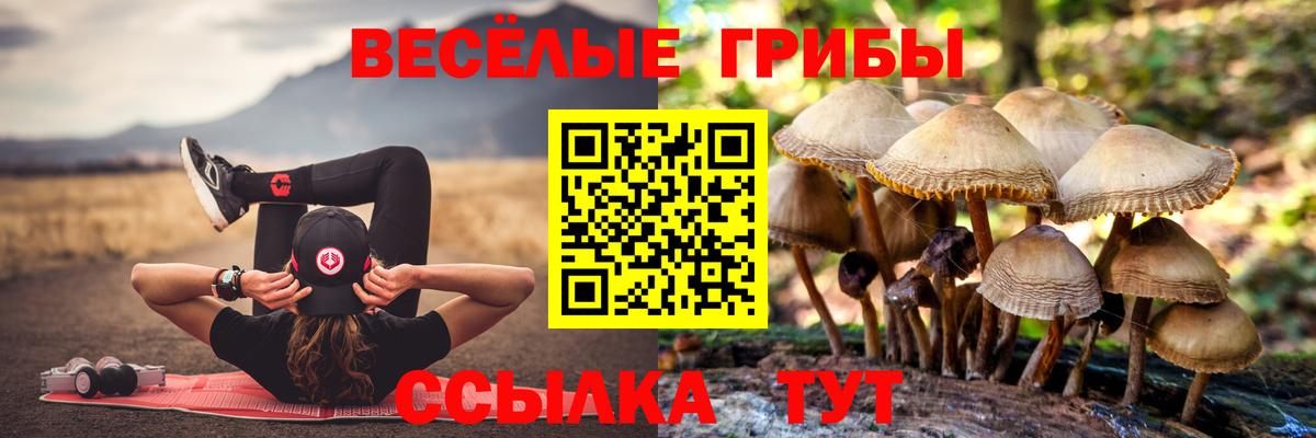Псилоцибиновые грибы прущие грибы Калач-на-Дону