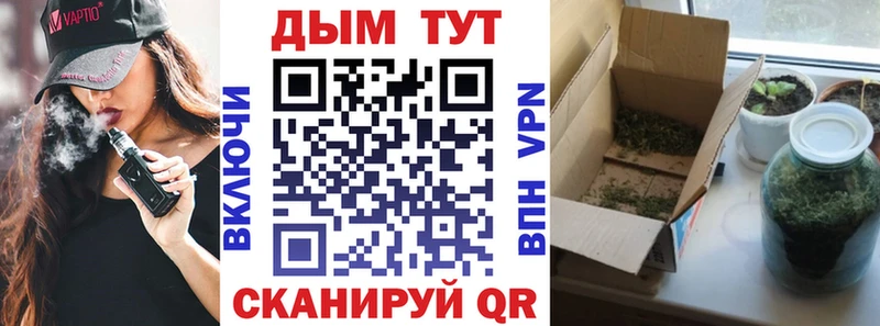 где продают   Калач-на-Дону  Бошки марихуана MAZAR 